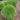 205139_THOBRABA_2022-09-13_TAG0_geen_02d239c226d4a9153a1d71ccc1c6d583